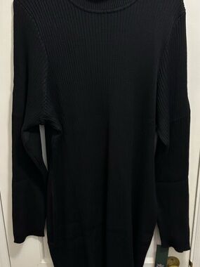 Wild Fable: 2X Black Ribbed Turtleneck Dress